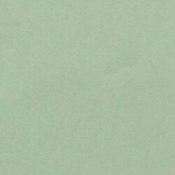 Minkštas kampas 197699