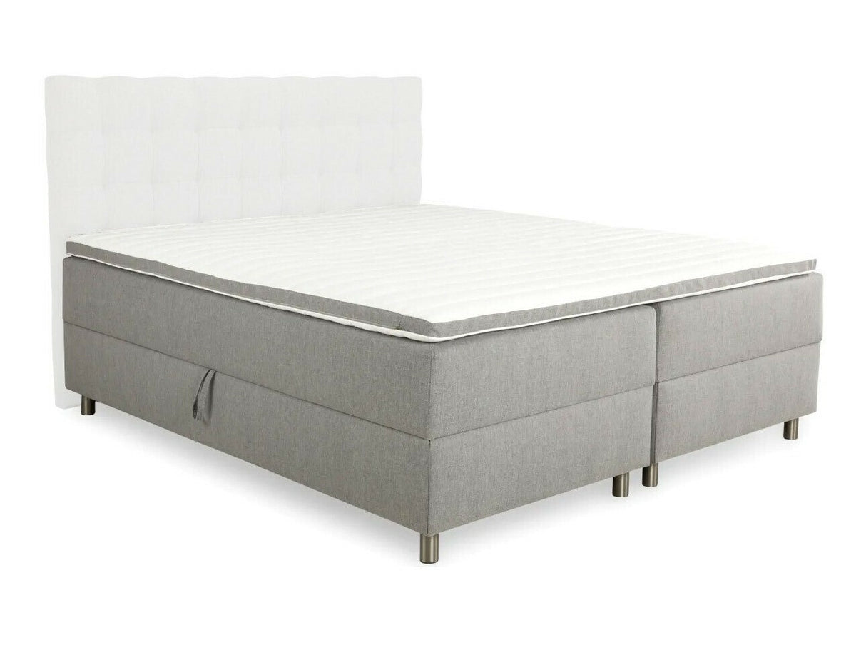 Continental lova 77893