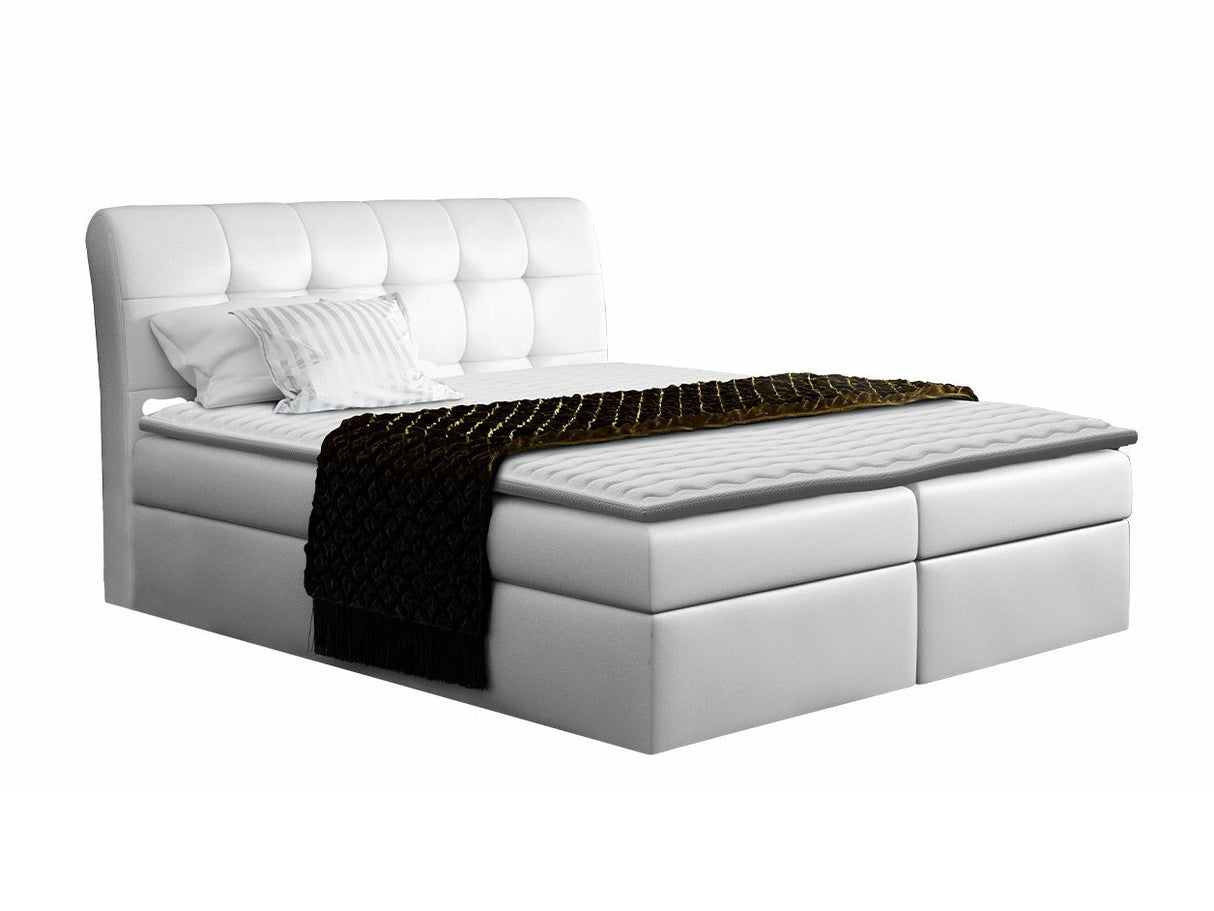 Continental lova 66353