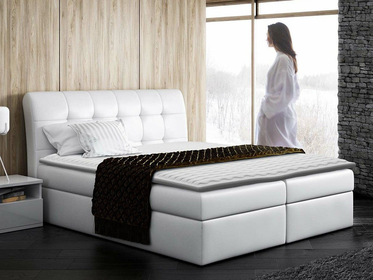 Continental lova 66353