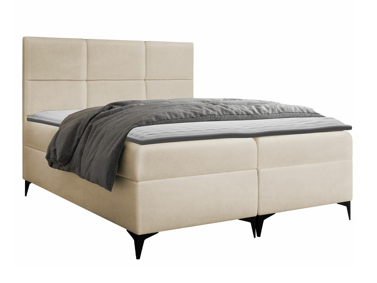 Continental lova 210704