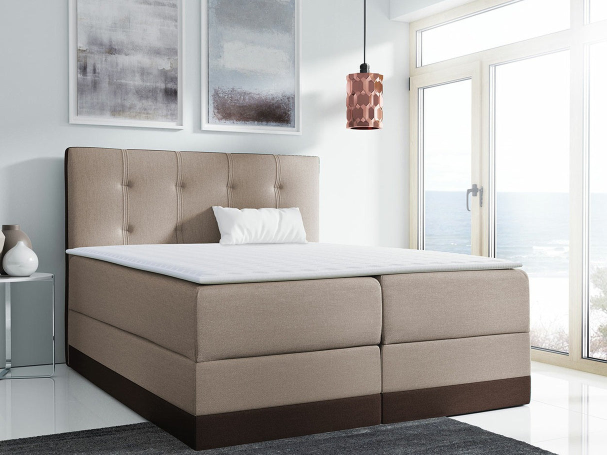 Continental lova 233823