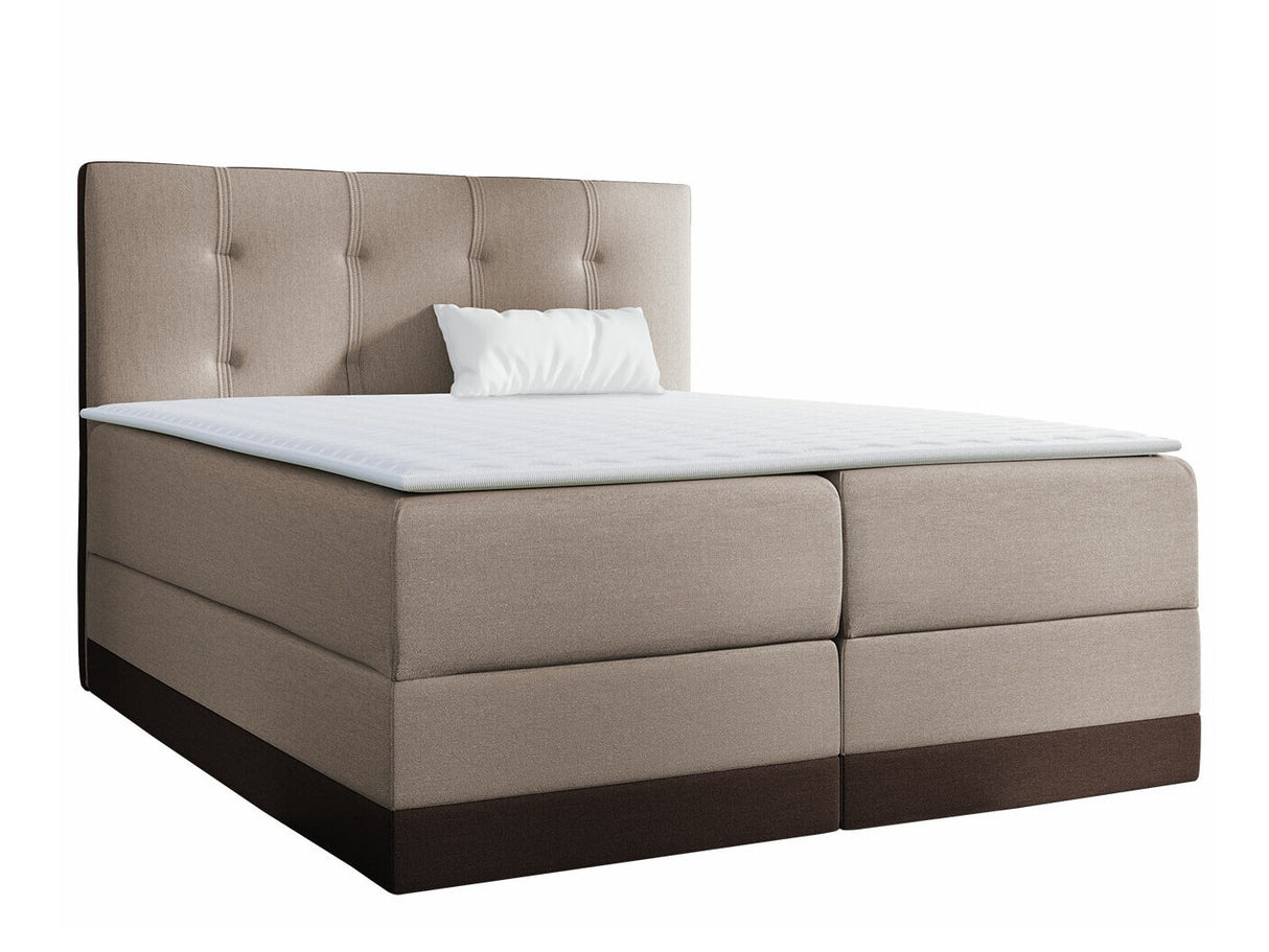 Continental lova 233823