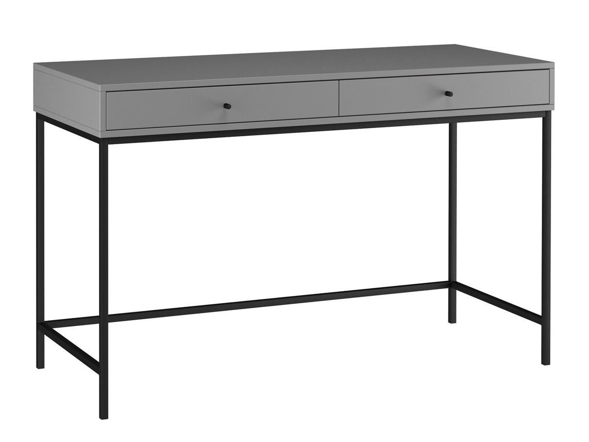 Darbo stalas 462000