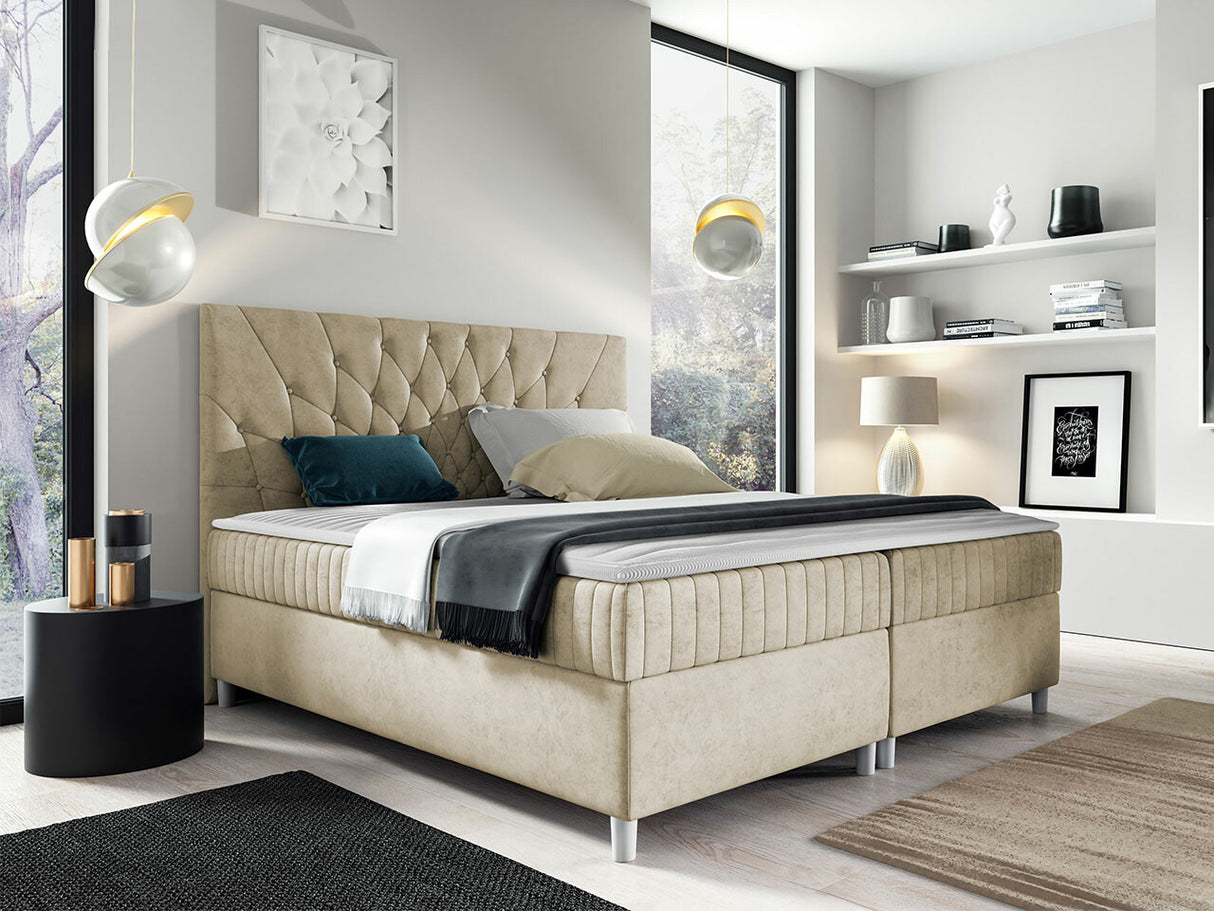 Continental lova 471292