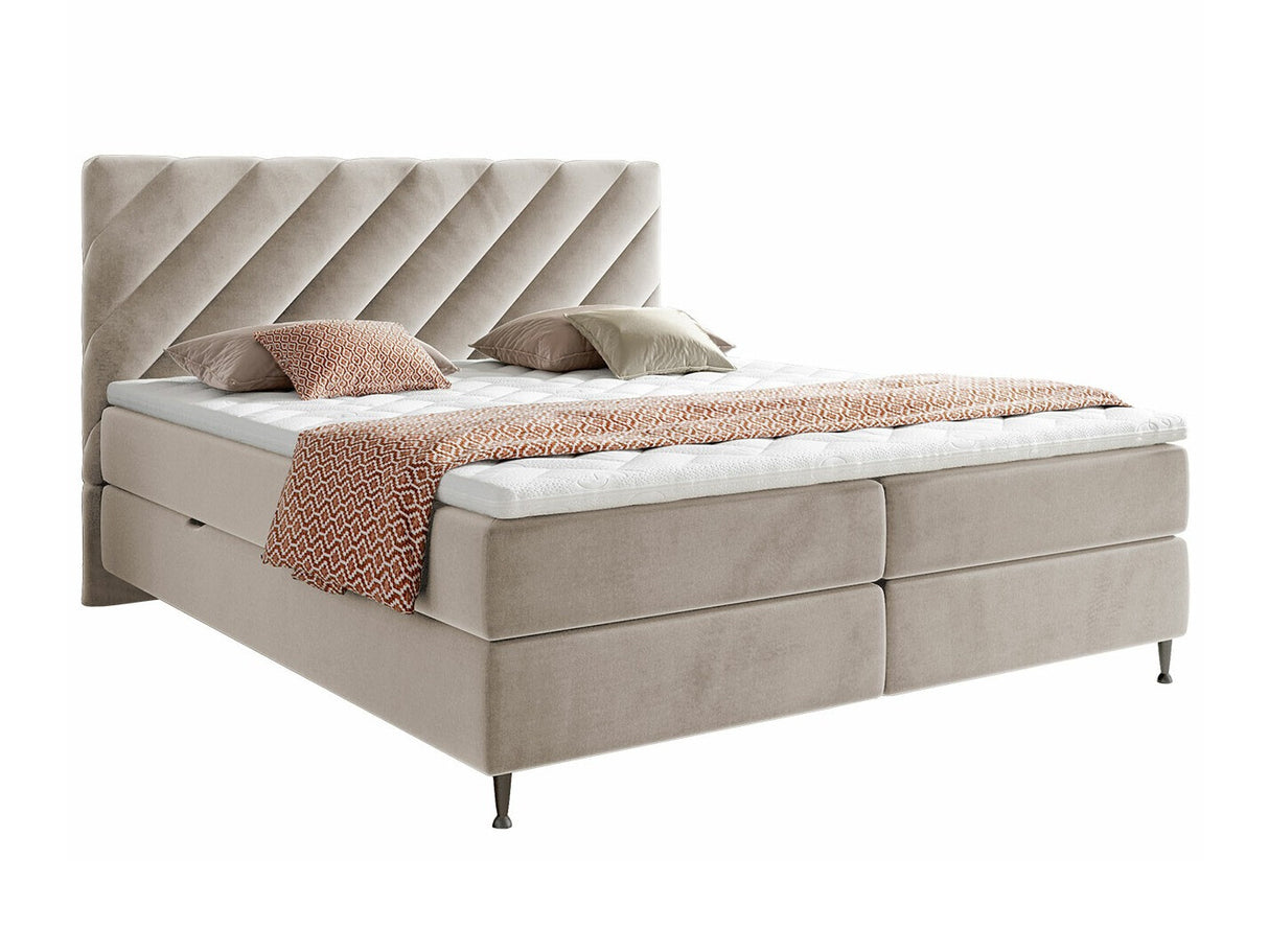 Continental lova 477041