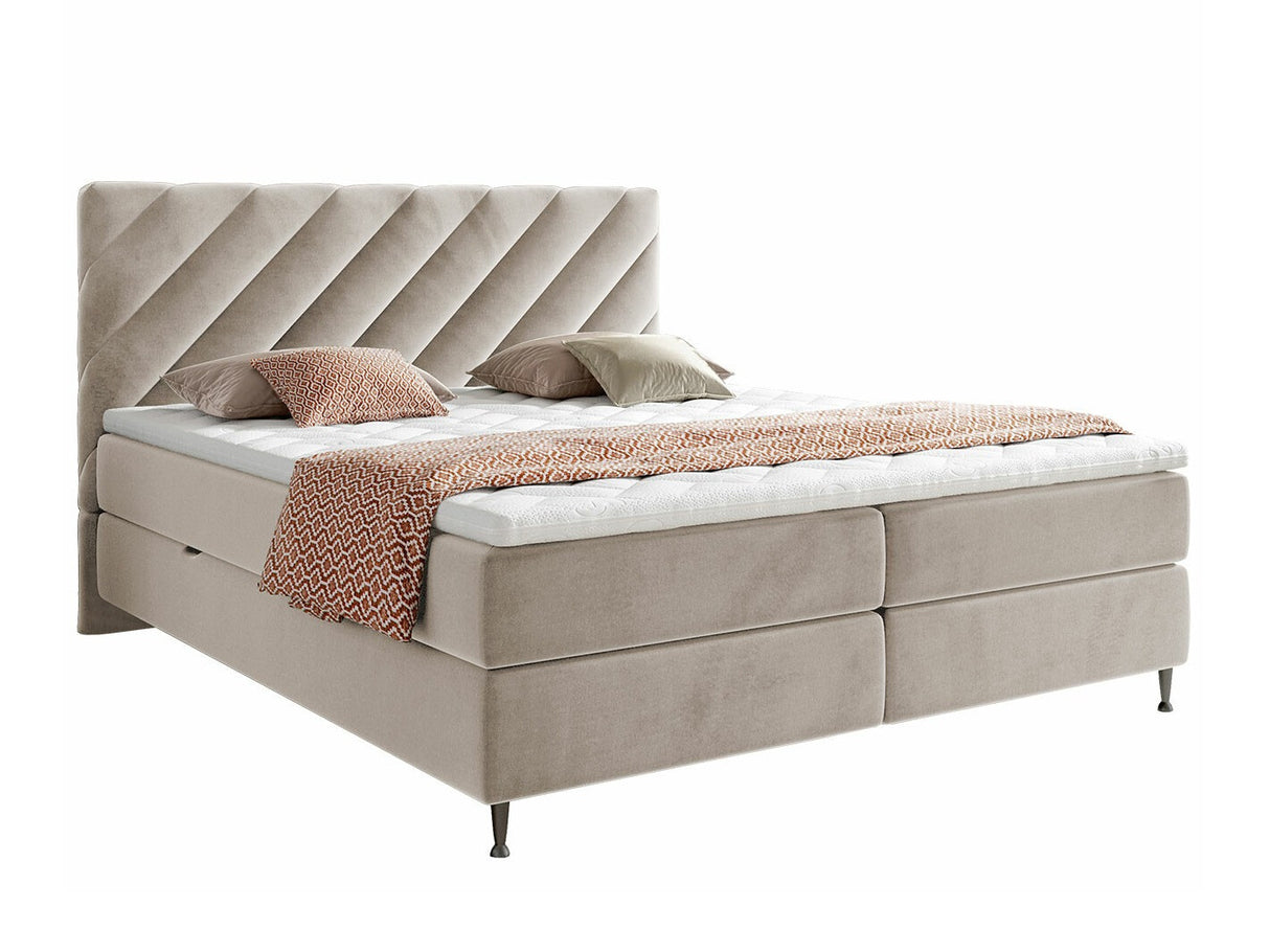 Continental lova 477041