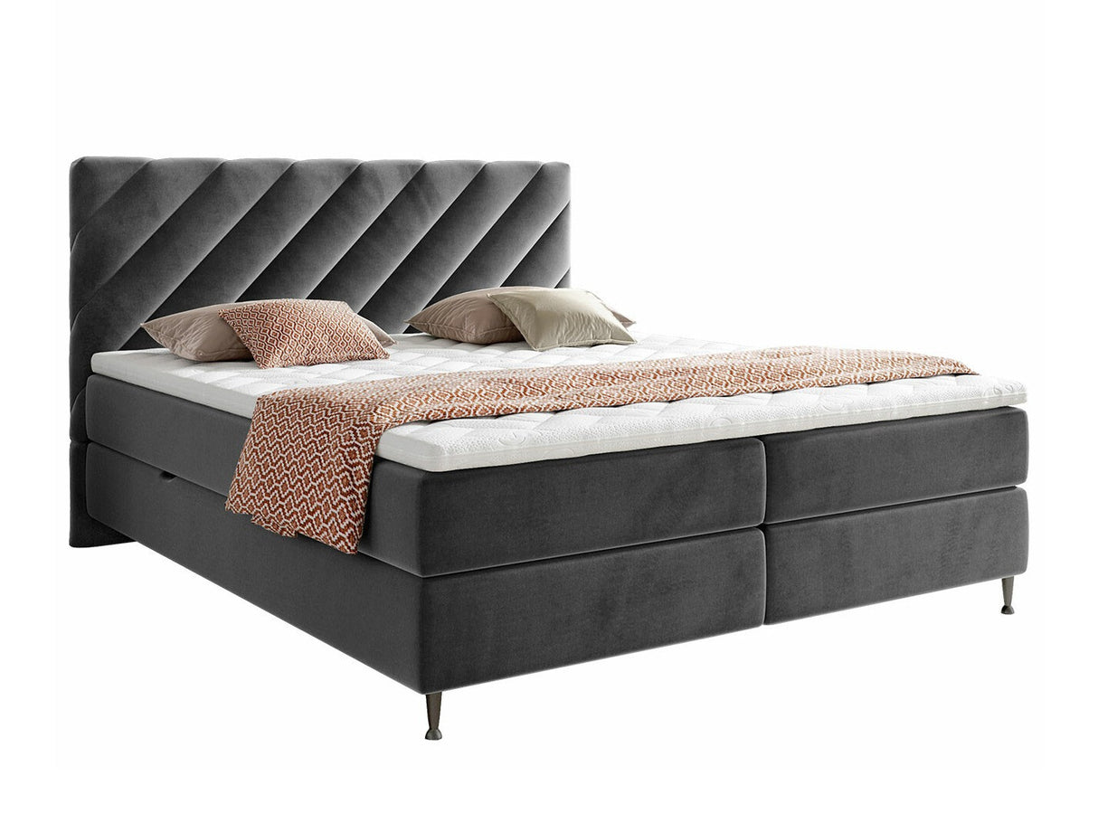 Continental lova 477041