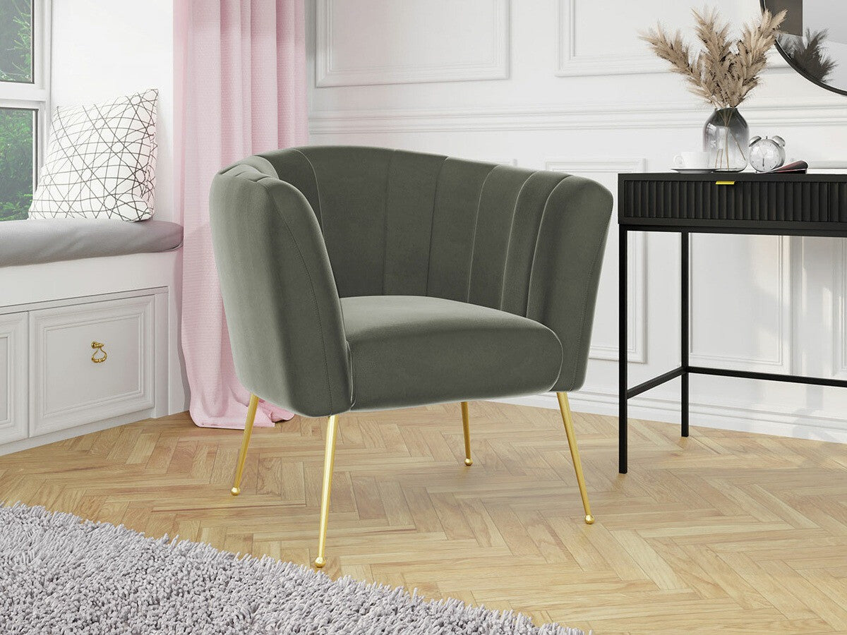 Fotelis 466194