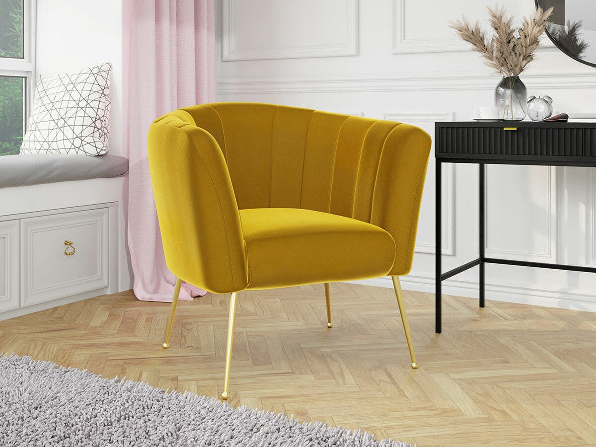 Fotelis 466194