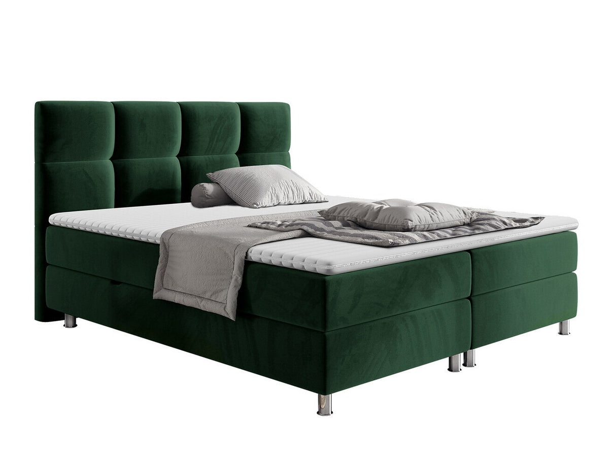 Continental lova 206691