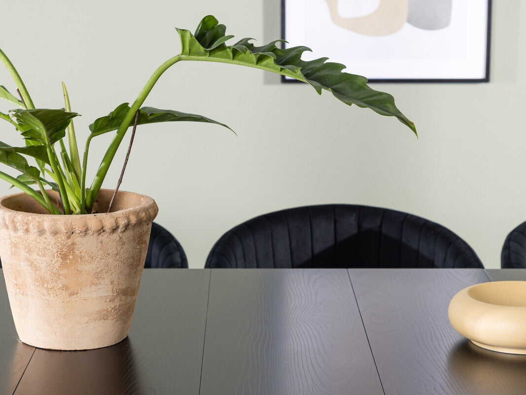 Valgomojo komplektas 498158