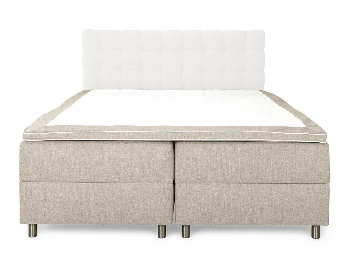 Continental lova 499160