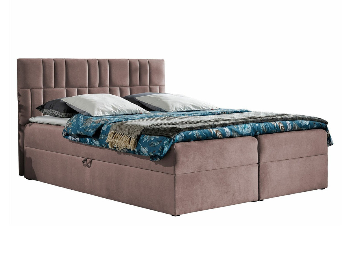 Continental lova 262823