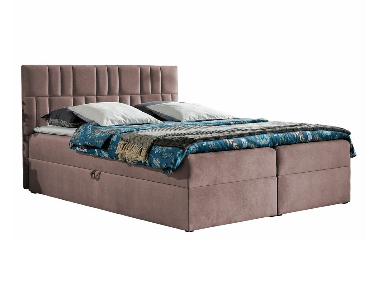 Continental lova 262823