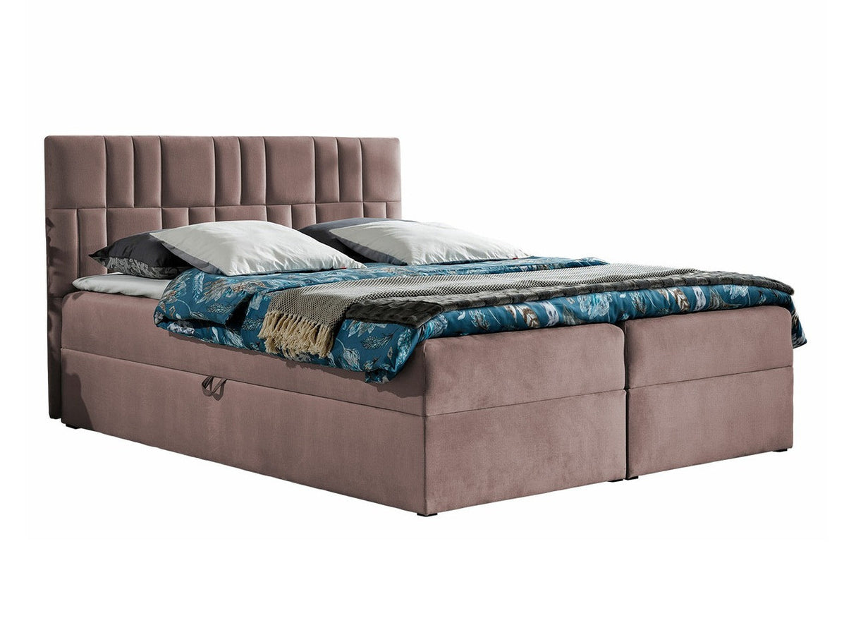 Continental lova 262823
