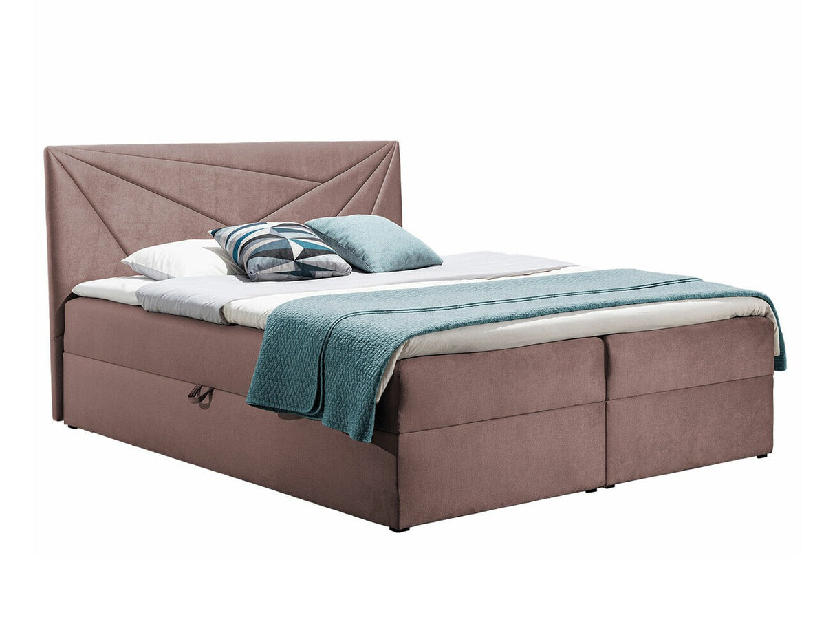 Continental lova 262916