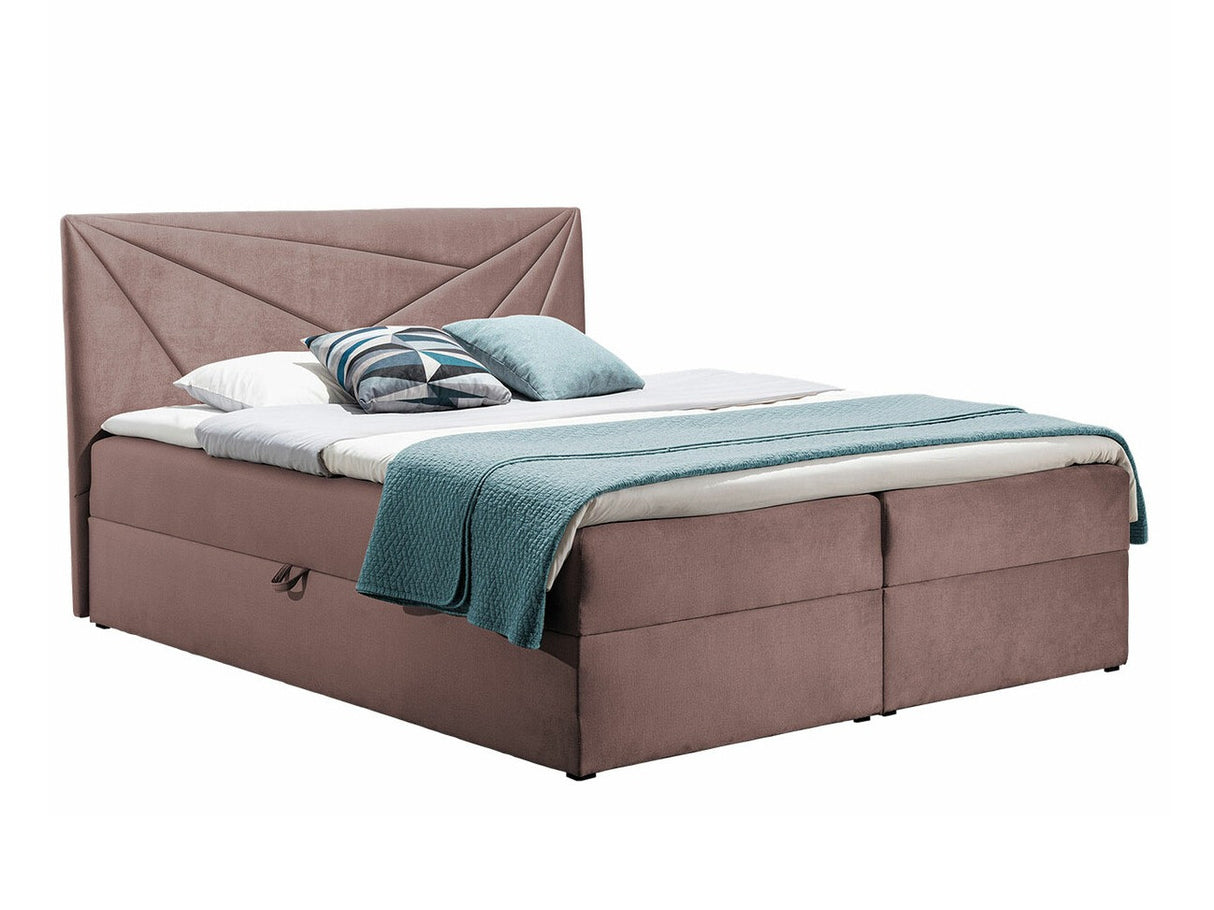 Continental lova 262916