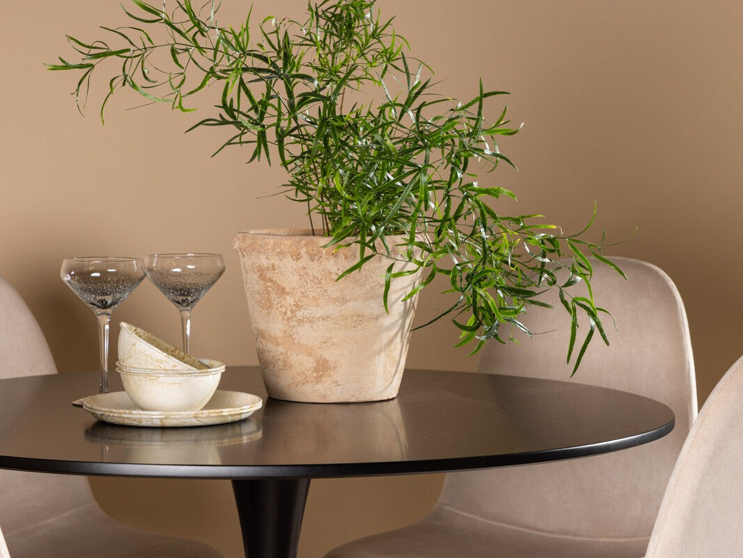 Valgomojo komplektas 503293