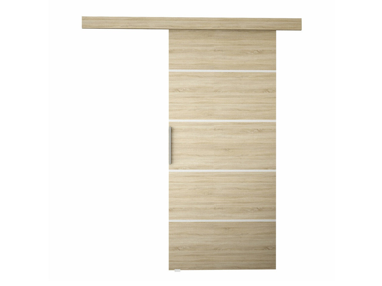 Stumdomos durys 505088