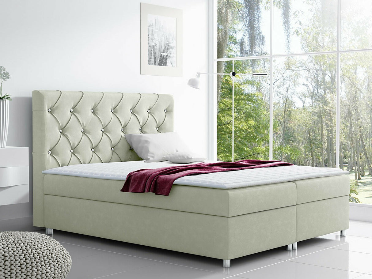 Continental lova 70564