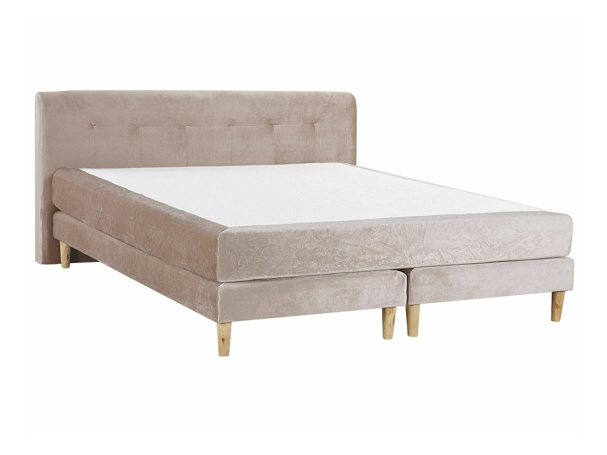 Continental lova 523505