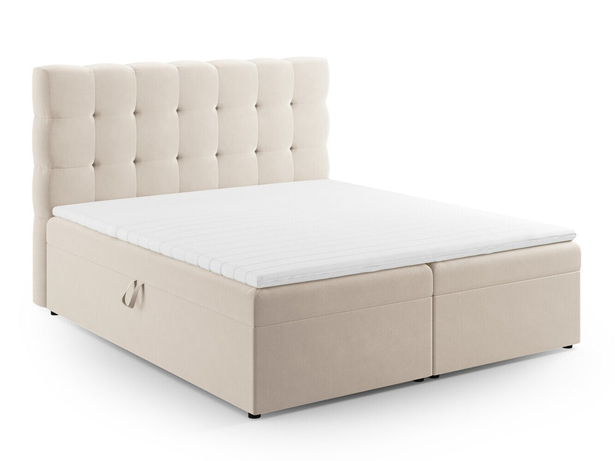 Continental lova 539238