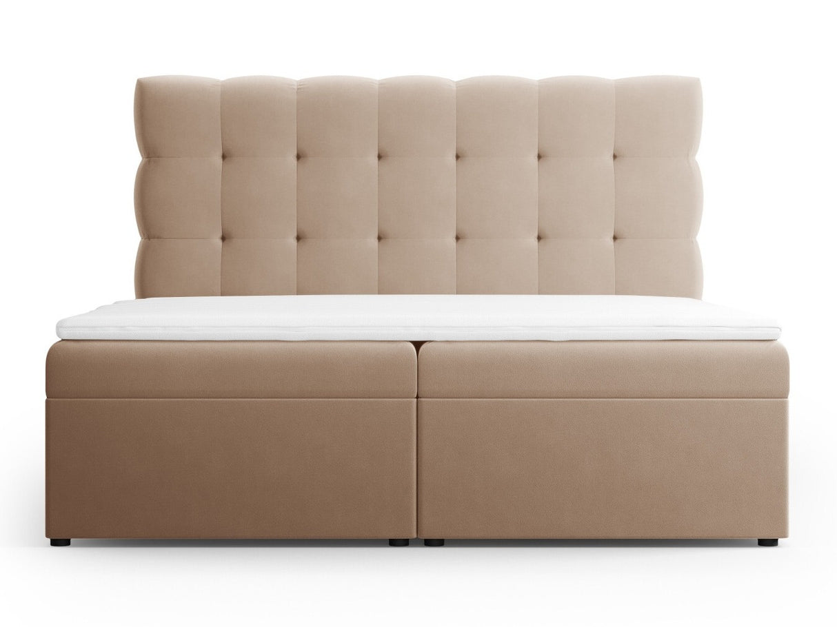 Continental lova 539238