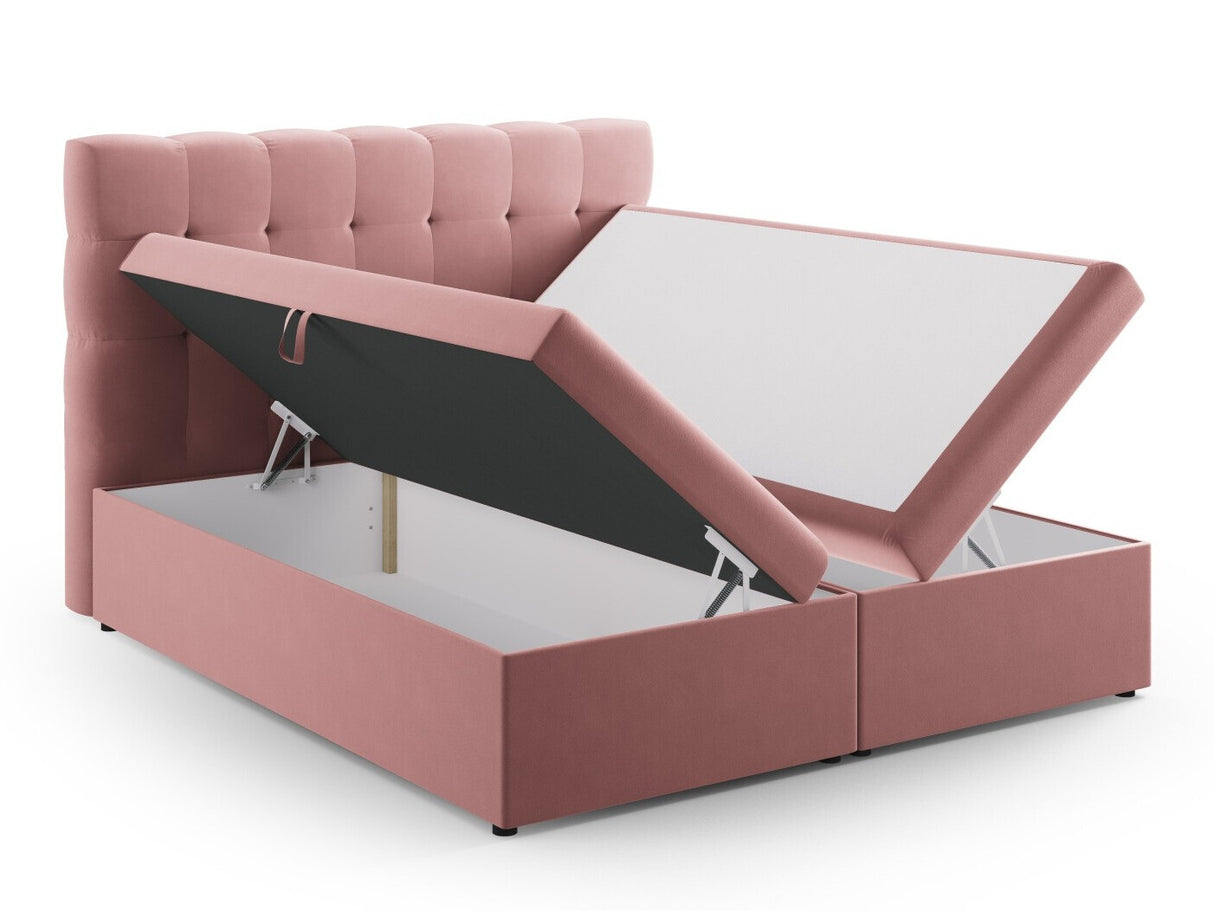 Continental lova 539238