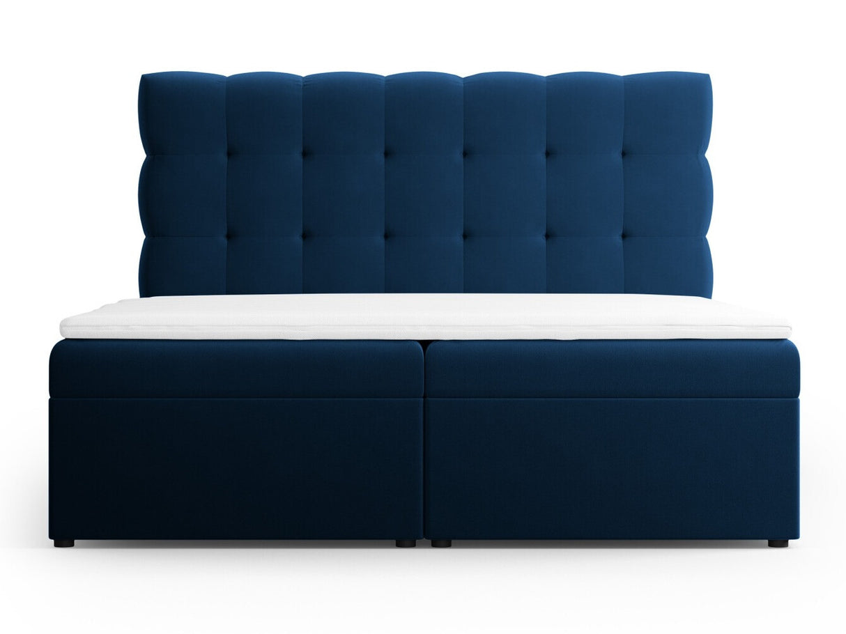 Continental lova 539238