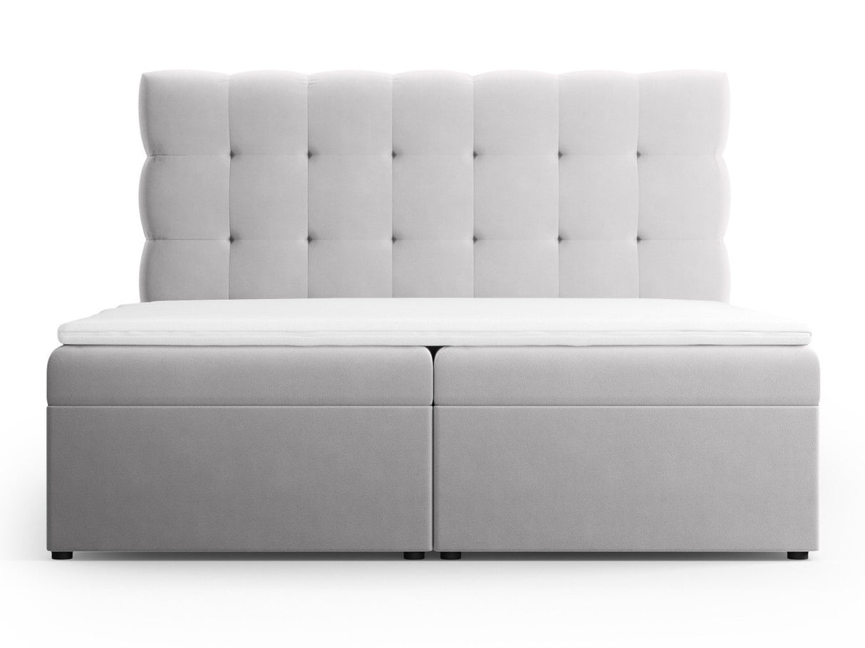 Continental lova 539238