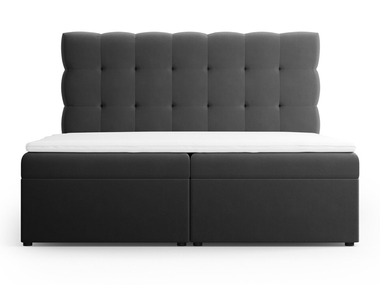 Continental lova 539238