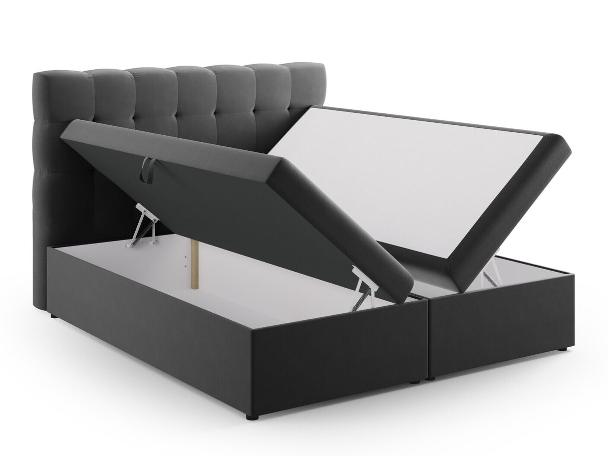 Continental lova 539238