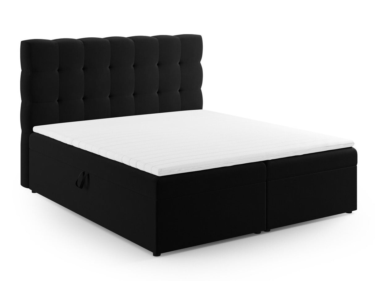 Continental lova 539238