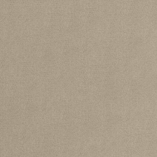 Continental lova 541039