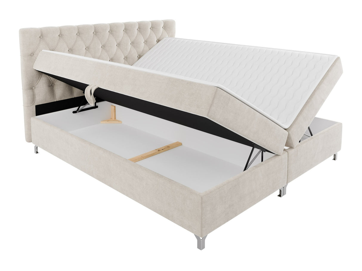 Continental lova 541039