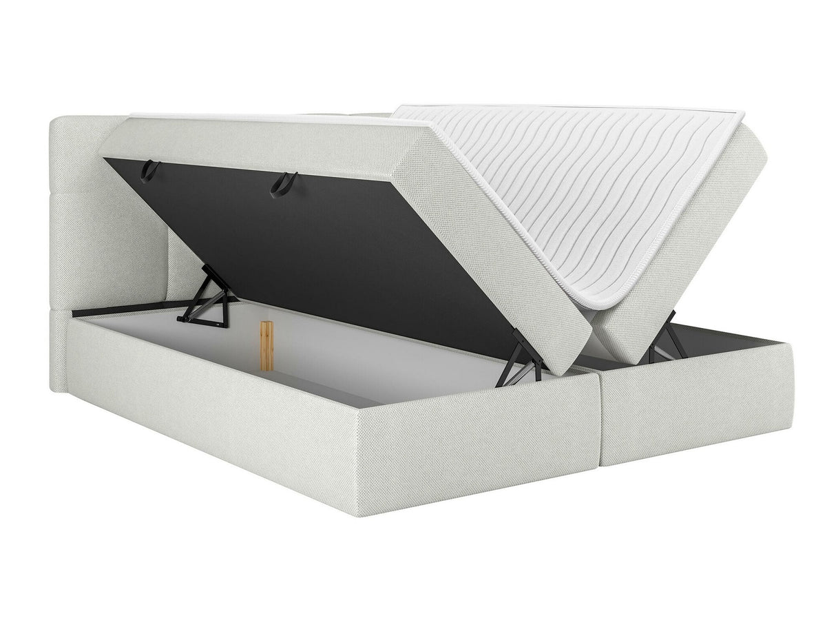 Continental lova 541393