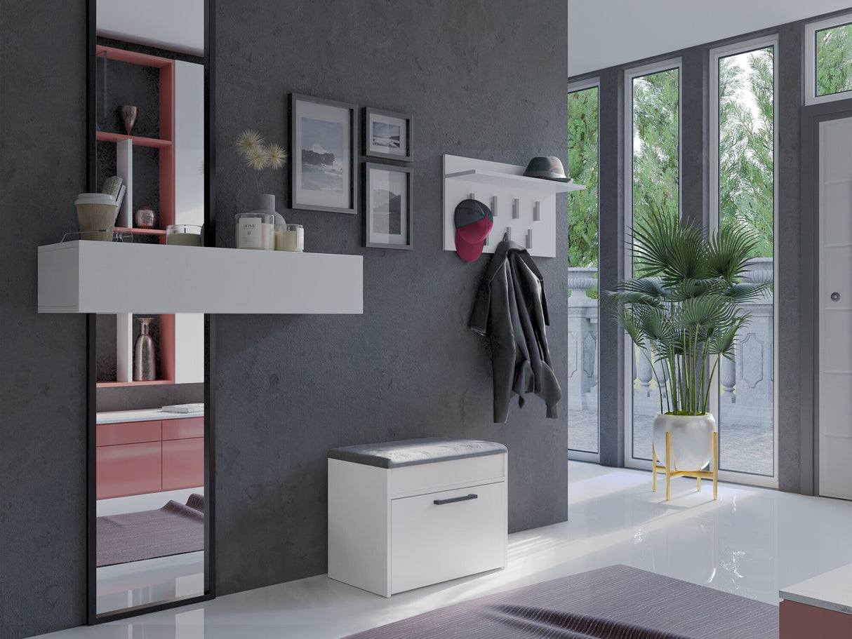 Batų dėžė 543000