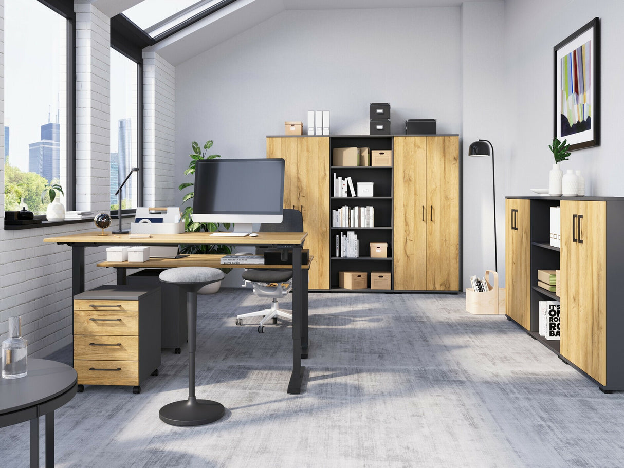 Reguliuojamo aukščio darbo stalas 555214