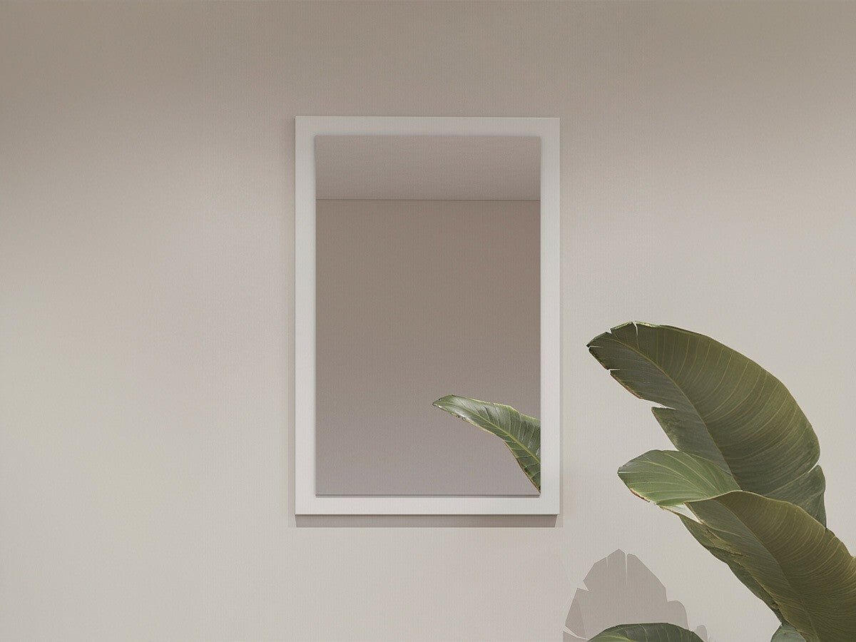 Veidrodis 556843 3736269