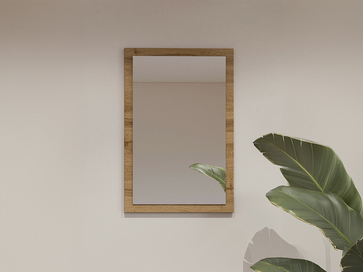 Veidrodis 556843 3736270