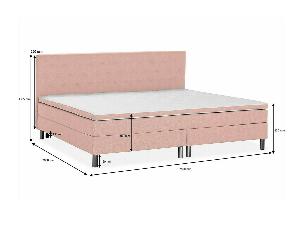 Continental lova 554684