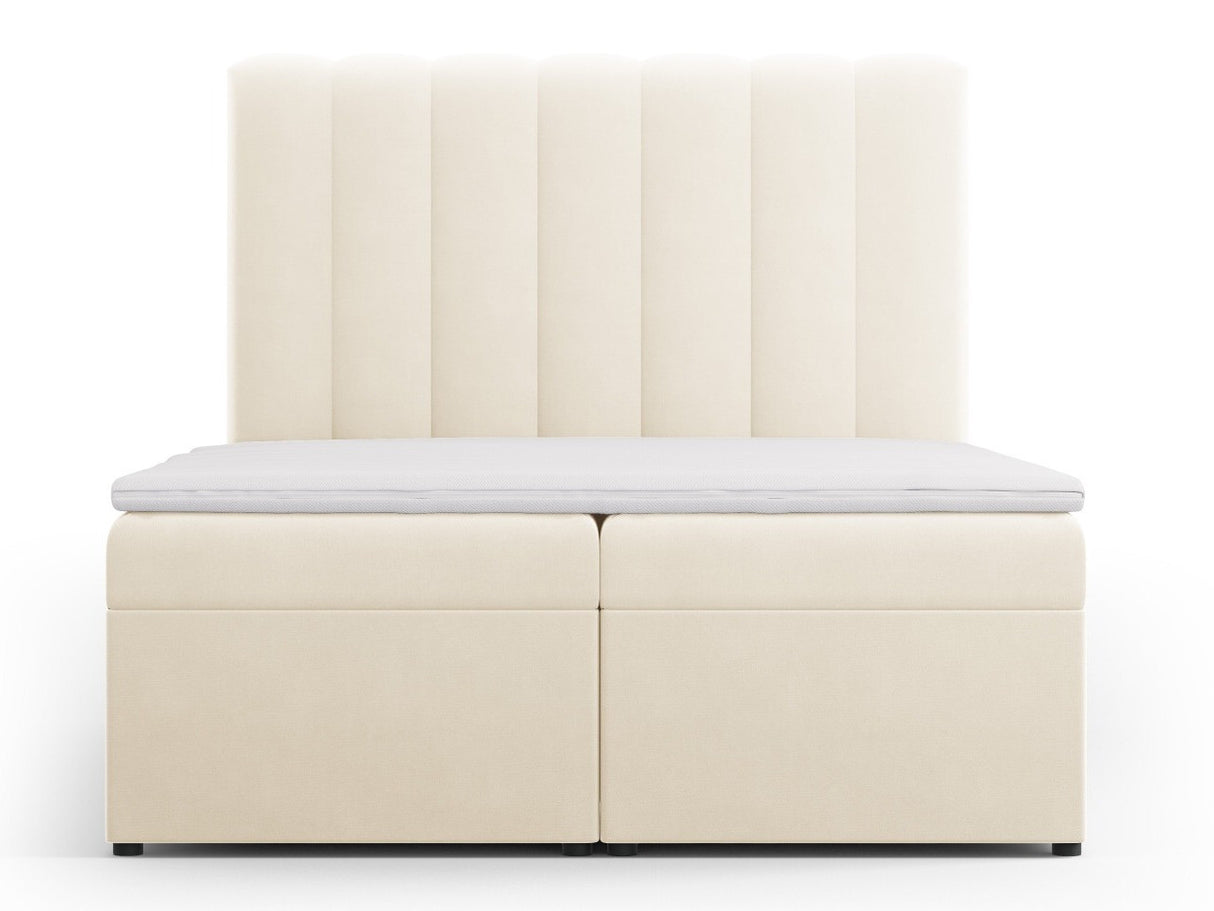 Continental lova 564246