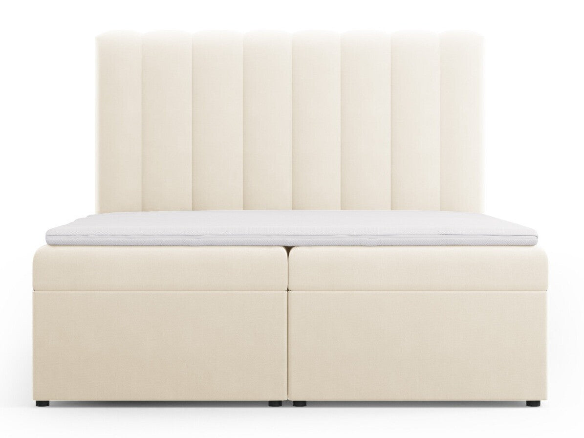 Continental lova 564246