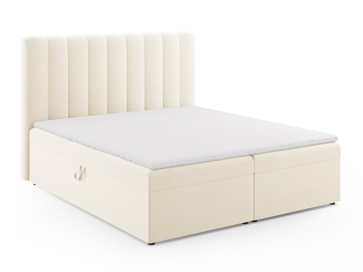 Continental lova 564246