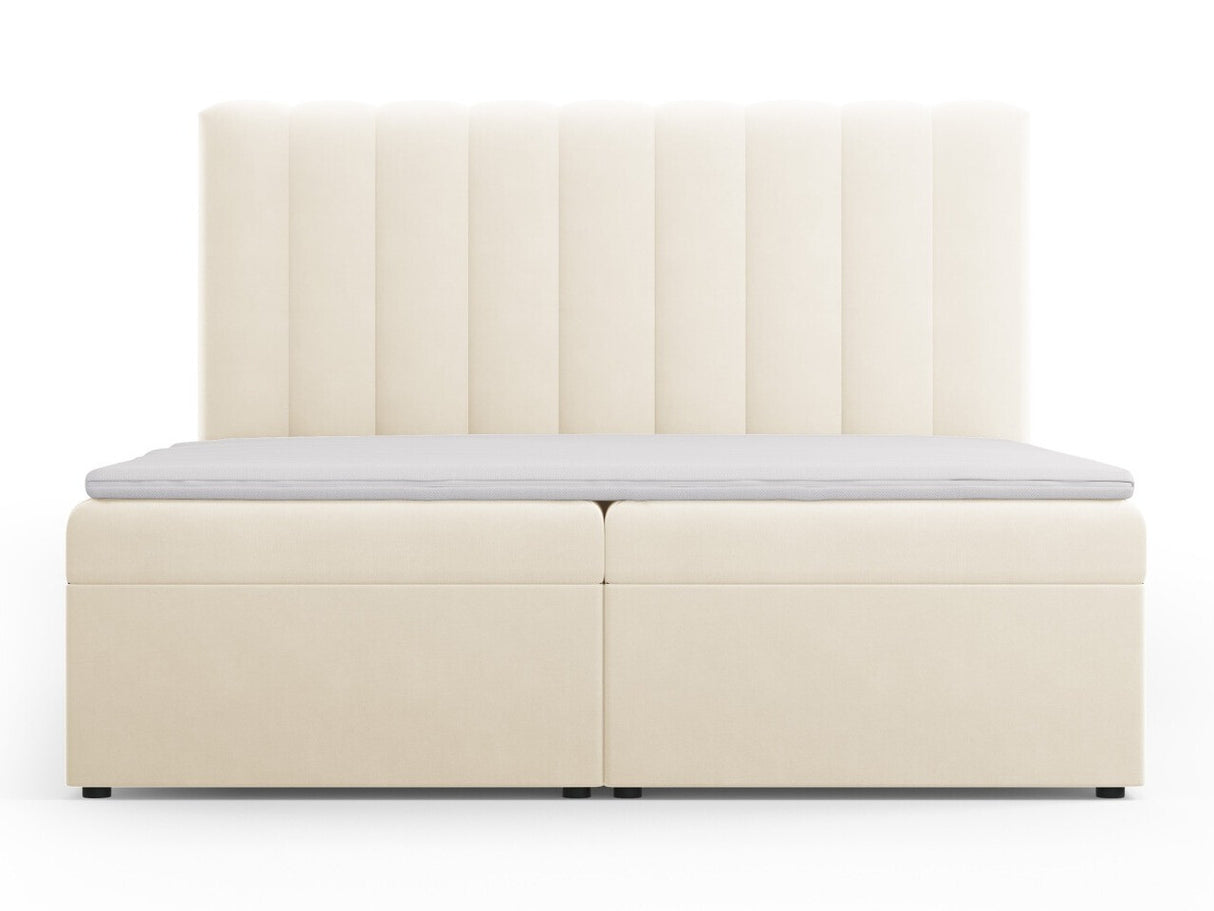 Continental lova 564246