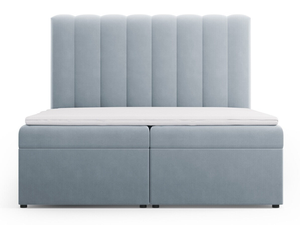 Continental lova 564246