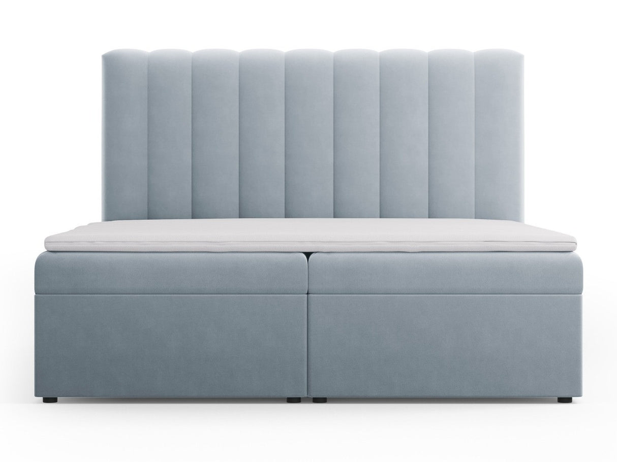 Continental lova 564246