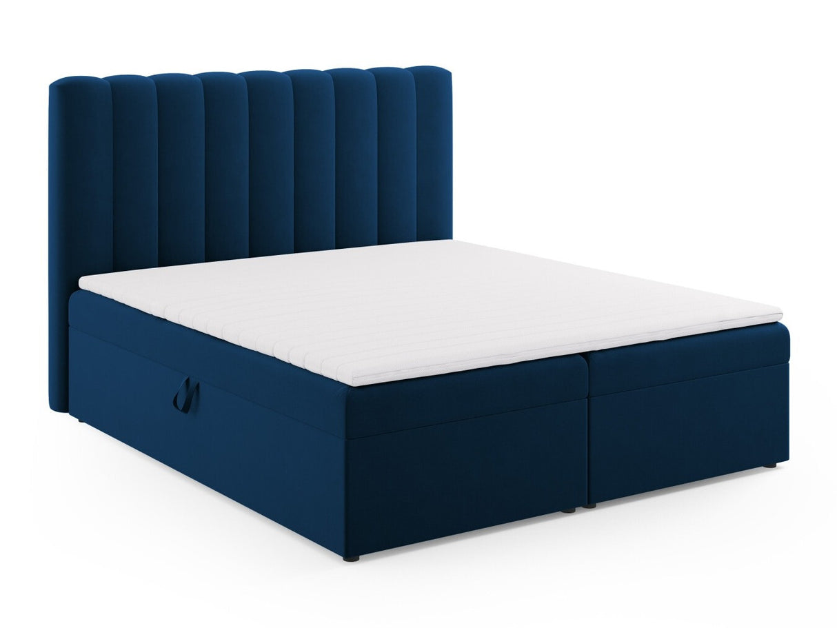 Continental lova 564246