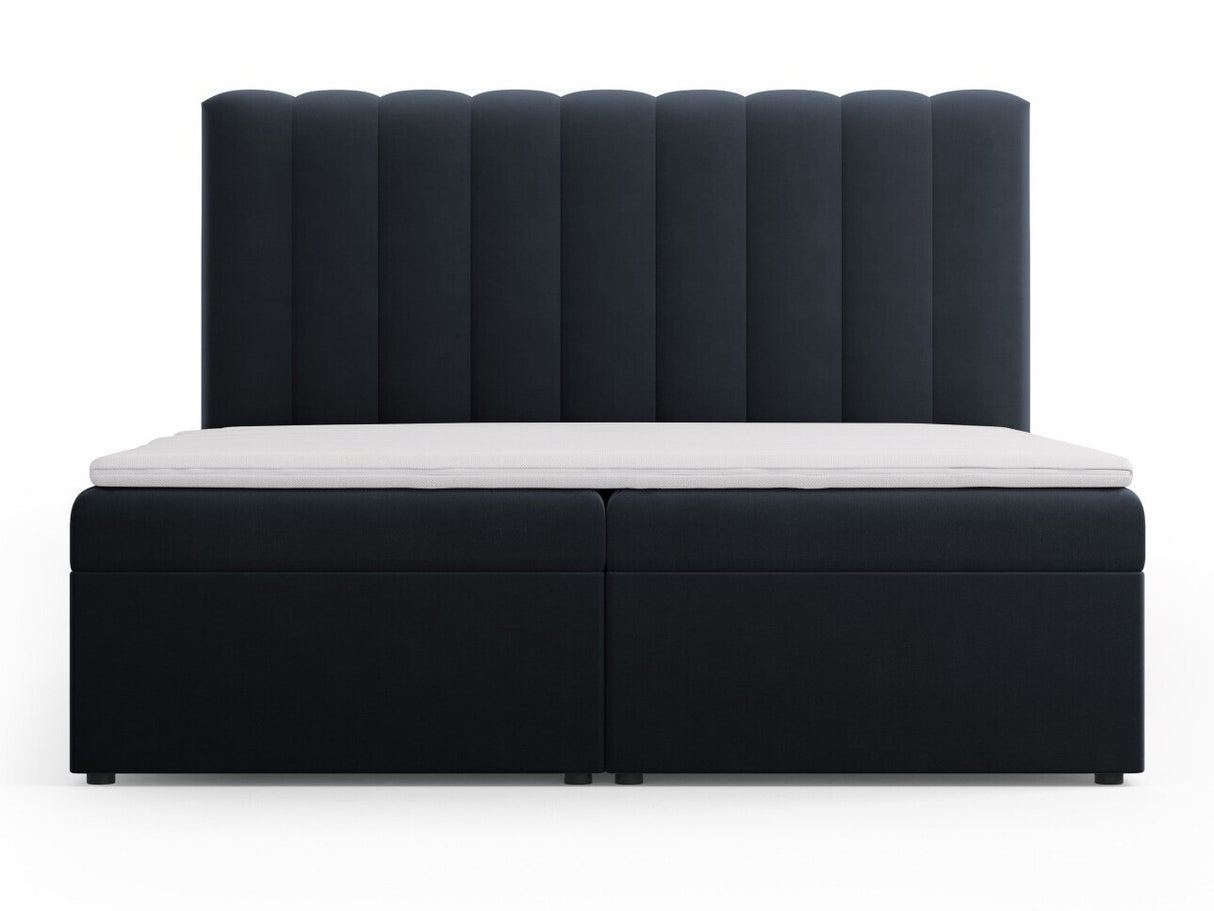 Continental lova 564246